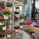 부천호수식물원 수피아 이미지