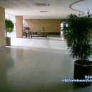 늘푸른고등학교 이미지