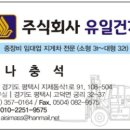 유일건기