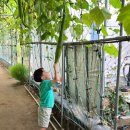 어린이 바디밸런스 발레 | 환절기 건조한 피부에 어린이 몽디에스 키즈바디워시 추천