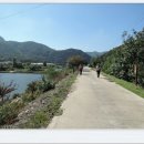 석천농로 이미지