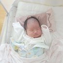 사랑-동행 | 대구산후도우미업체 참사랑어머니회 추천 내돈내산으로 2주 연장한 후기