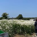 선흘 그곳 이미지