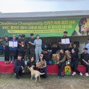 메이저 애견훈련학교 이미지