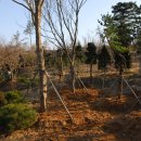 개운좋은농장 이미지