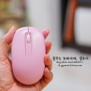 핑크마우스 이미지