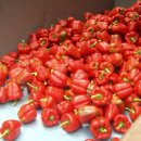 유인농장 이미지