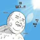 [전시] 서울바앤스피릿쇼 2025 후기