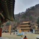 삼룡사 이미지