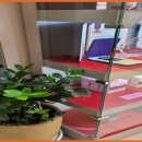 밝은빛한의원 | 달성군한의원 밝은빛한의원 명의 발견