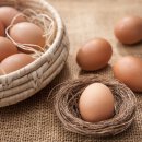 농업회사법인 주식회사 청정식품 이미지