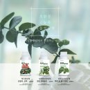 강화식물병원 이미지