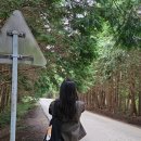 삼양동멸치국수 | 25-10월 [제주] day➊➋ 제주국제공항, 소품샵 투어, 연동공육사, 삼양해수욕장, 점점, 조반물, 와흘메밀...