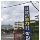 대성자동차 이미지