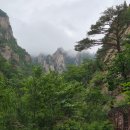 그린야드 | [양양] 오색그린야드 호텔, 오색탄산온천 급여행 후기 🌿