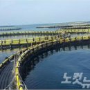 자원부화장 이미지