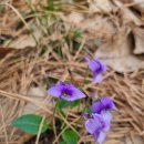 중원체육공원 이미지