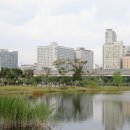 스타팰리스 이미지