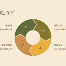 속초해변 국민여가 캠핑장 티스토리