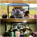 허브리아 | 경남 하동 북천 코스모스 축제 핑크뮬리 시기 레일바이크 탑승 및 주차팁
