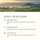 힐링강릉 이미지