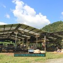 강동로6-6 이미지