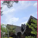 아르보르펜션 이미지