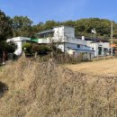 대암보건진료소 네이버블로그