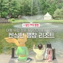 정원온돌 | 아이와 평창 여행 숙소 추천 : 켄싱턴 리조트 온돌 객실 키즈카페 유럽 정원 수영장 후기