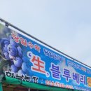 현북농장 네이버블로그