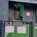 윤앤퍼피 이미지