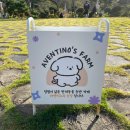광주농장 | 광주 애견동반카페 넓은 잔디밭이 있는 광주 카페 아벤티노의 농장 아이랑 방문 후기