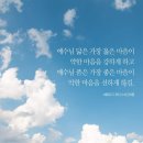 마음 Daum카페