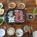 하계생오리 이미지