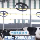 이정목장 이미지