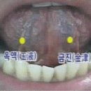 금진 이미지