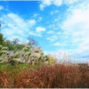 영인산주유소 이미지