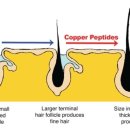 쿠퍼COPPER
