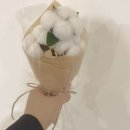 하플라워 | 🌿✔️ 프리저브드 목화 꽃다발