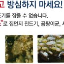 코인워시24시 이미지