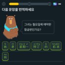 듀오링고(Duolingo)로 외국어 공부, 효과 있을까? 250일간 중국어 공부한 후기