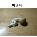 결이고은 에스테틱