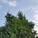 옥대3리 이미지