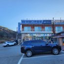 비발디렌통령 이미지