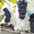 춘향골 이미지