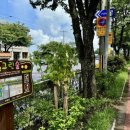 곽금초등학교 이미지