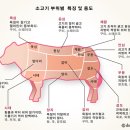 소고기면 - 진천군 초금로 756-1 | 소고기면