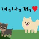 너랑나랑개랑 이미지