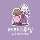 코코 반려견미용실 이미지