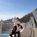 풀빌라앤글램핑랜드B | 경남 글램핑 산청 앤더포레 글램핑 후기｜별이 쏟아지는 깨끗한 경남풀빌라